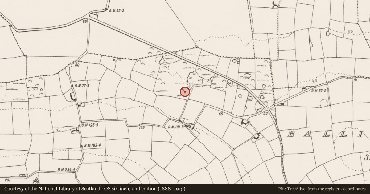 Ordnance Survey six-inch map, 2nd edition (1888–1915) covering the location of Fulacht fia, Kilmacahill, County Cork, with a pin at the register's coordinates