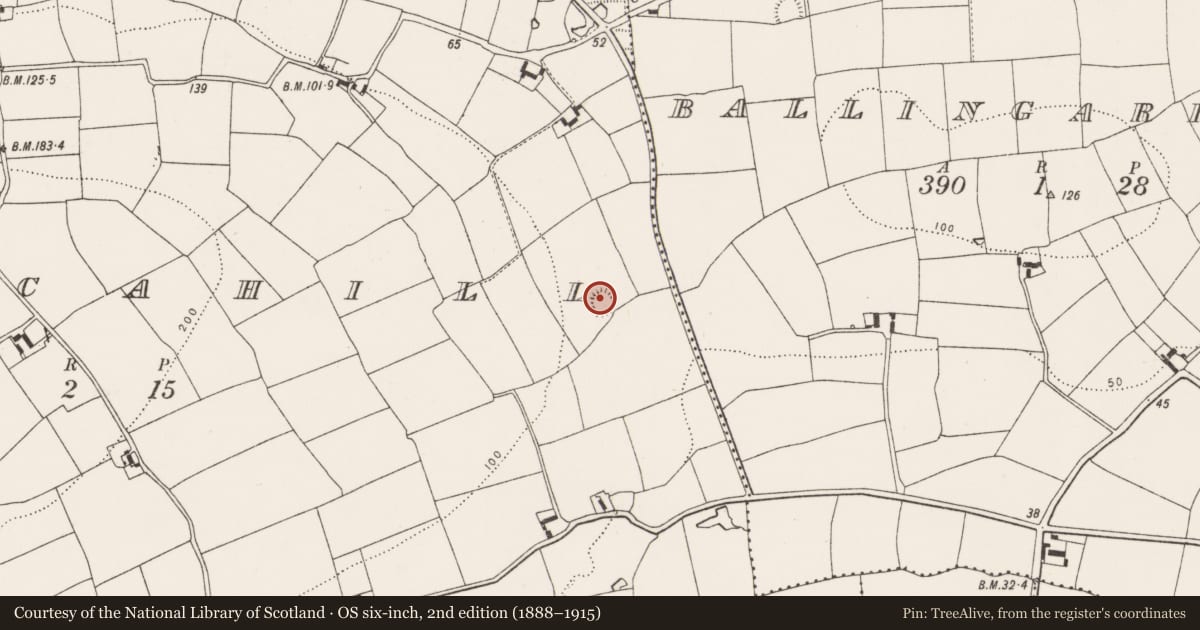 Ordnance Survey six-inch map, 2nd edition (1888–1915) covering the location of Ringfort - rath, Kilmacahill, County Cork, with a pin at the register's coordinates