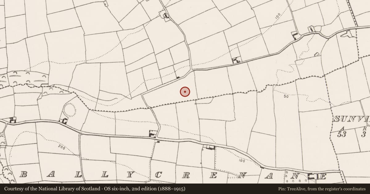 Ordnance Survey six-inch map, 2nd edition (1888–1915) covering the location of Fulacht fia, Kilmacahill, County Cork, with a pin at the register's coordinates