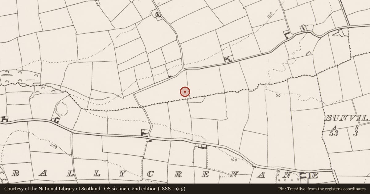 Ordnance Survey six-inch map, 2nd edition (1888–1915) covering the location of Fulacht fia, Kilmacahill, County Cork, with a pin at the register's coordinates