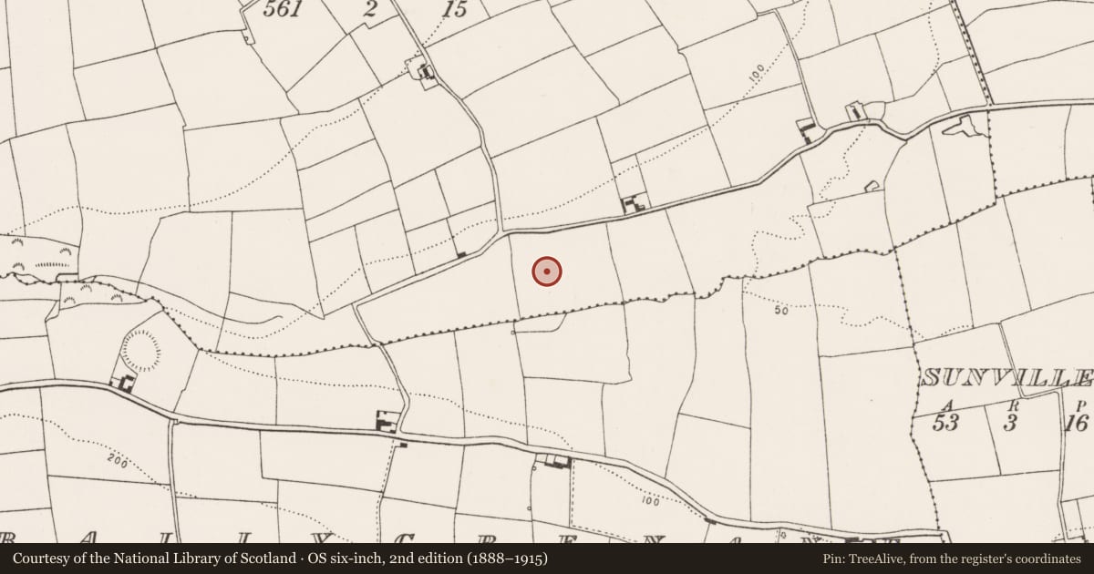Ordnance Survey six-inch map, 2nd edition (1888–1915) covering the location of Fulacht fia, Kilmacahill, County Cork, with a pin at the register's coordinates