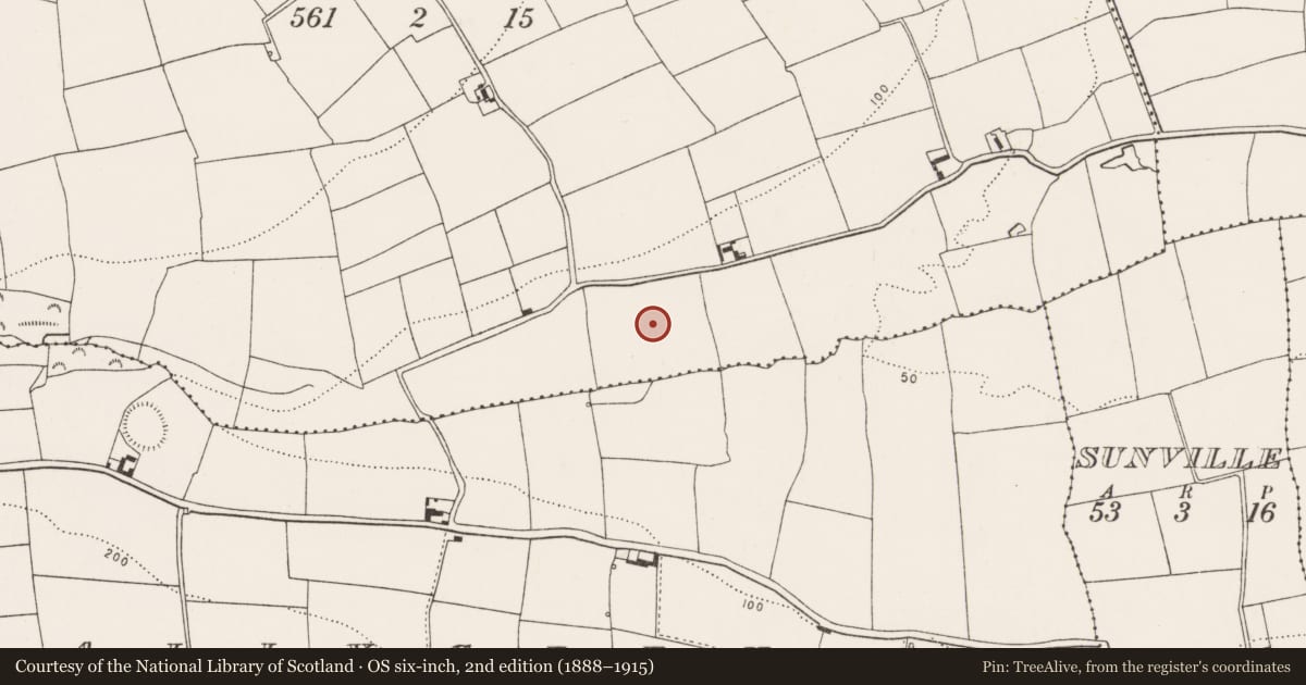 Ordnance Survey six-inch map, 2nd edition (1888–1915) covering the location of Fulacht fia, Kilmacahill, County Cork, with a pin at the register's coordinates