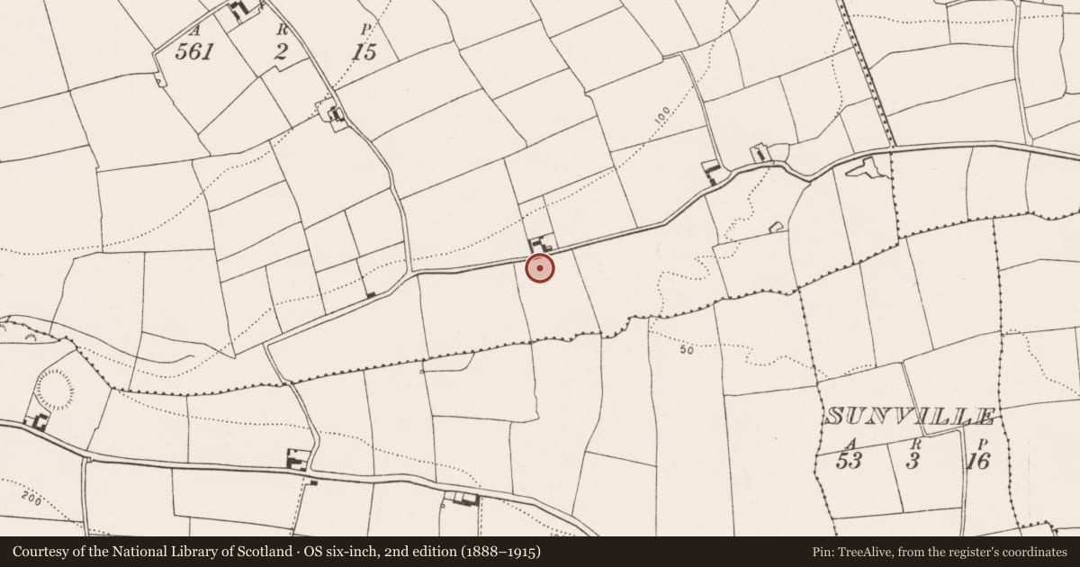 Ordnance Survey six-inch map, 2nd edition (1888–1915) covering the location of Fulacht fia, Kilmacahill, County Cork, with a pin at the register's coordinates