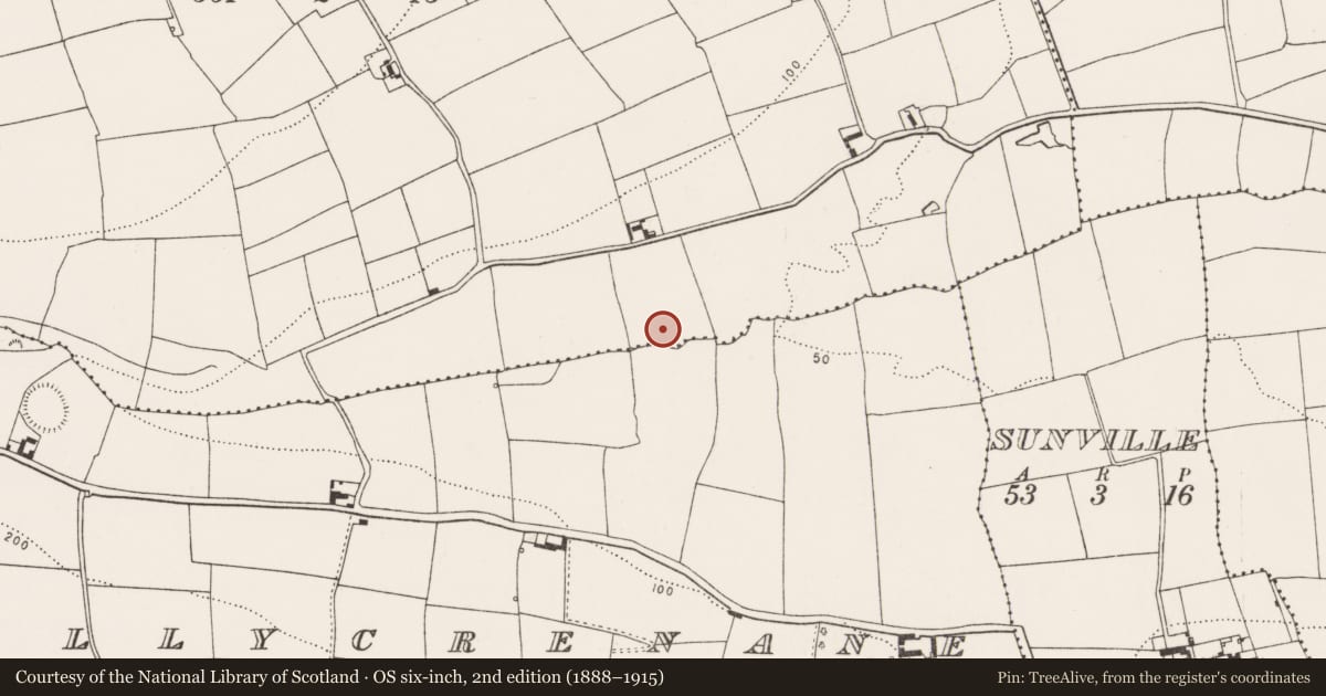 Ordnance Survey six-inch map, 2nd edition (1888–1915) covering the location of Fulacht fia, Kilmacahill, County Cork, with a pin at the register's coordinates