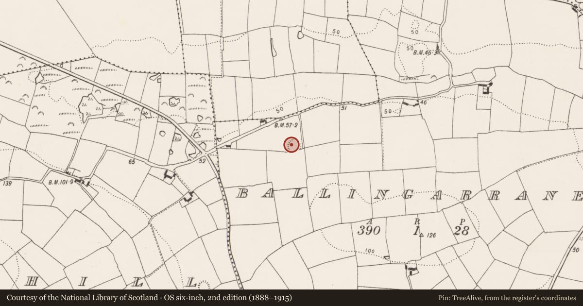 Ordnance Survey six-inch map, 2nd edition (1888–1915) covering the location of Ringfort - rath, Ballingarrane (Imokilly By., Kilmahon Par.), County Cork, with a pin at the register's coordinates