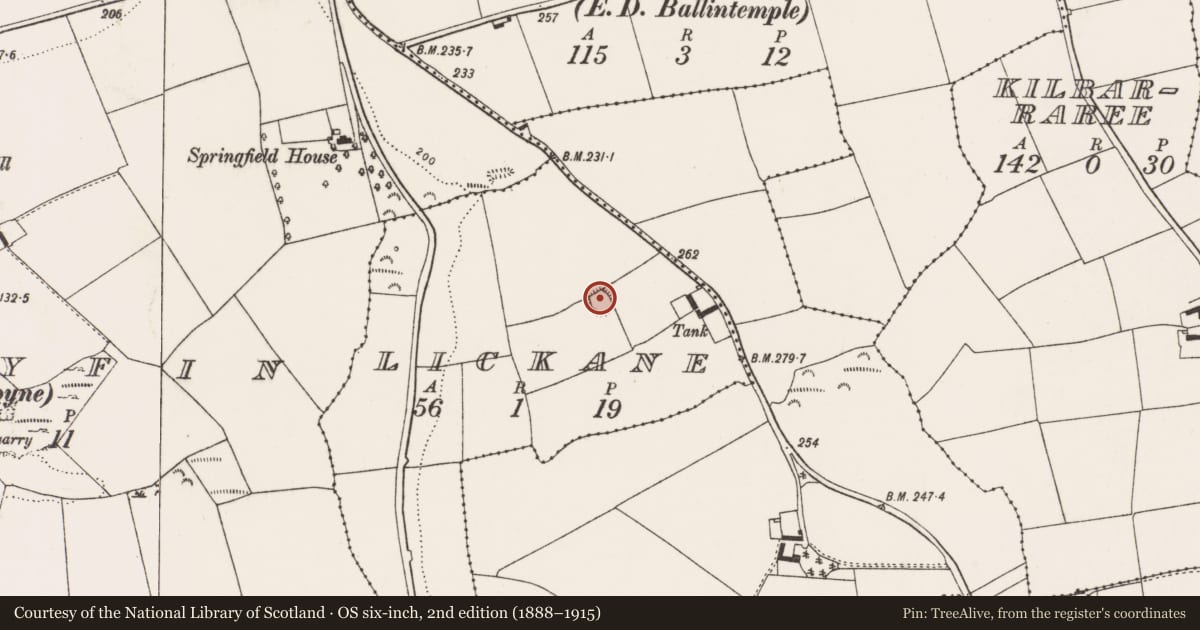 Ordnance Survey six-inch map, 2nd edition (1888–1915) covering the location of Ringfort - rath, Lickane, County Cork, with a pin at the register's coordinates