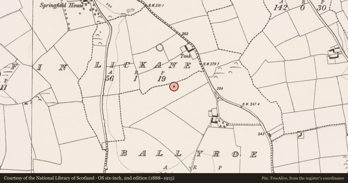 Ordnance Survey six-inch map, 2nd edition (1888–1915) covering the location of Ringfort - rath, Ballyroe, County Cork, with a pin at the register's coordinates