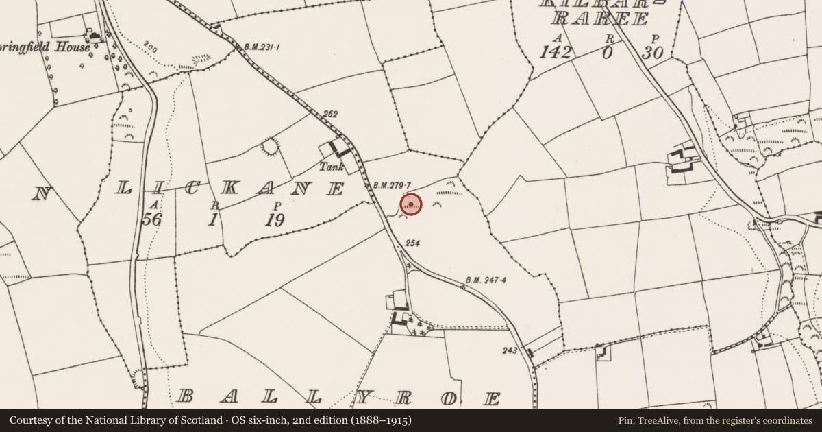 Ordnance Survey six-inch map, 2nd edition (1888–1915) covering the location of Ringfort - rath, Ballyroe, County Cork, with a pin at the register's coordinates