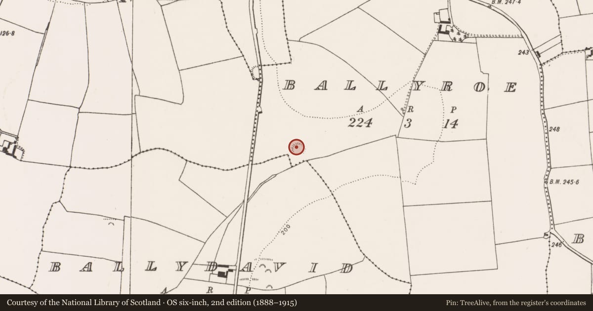 Ordnance Survey six-inch map, 2nd edition (1888–1915) covering the location of Ringfort - rath, Ballyroe, County Cork, with a pin at the register's coordinates