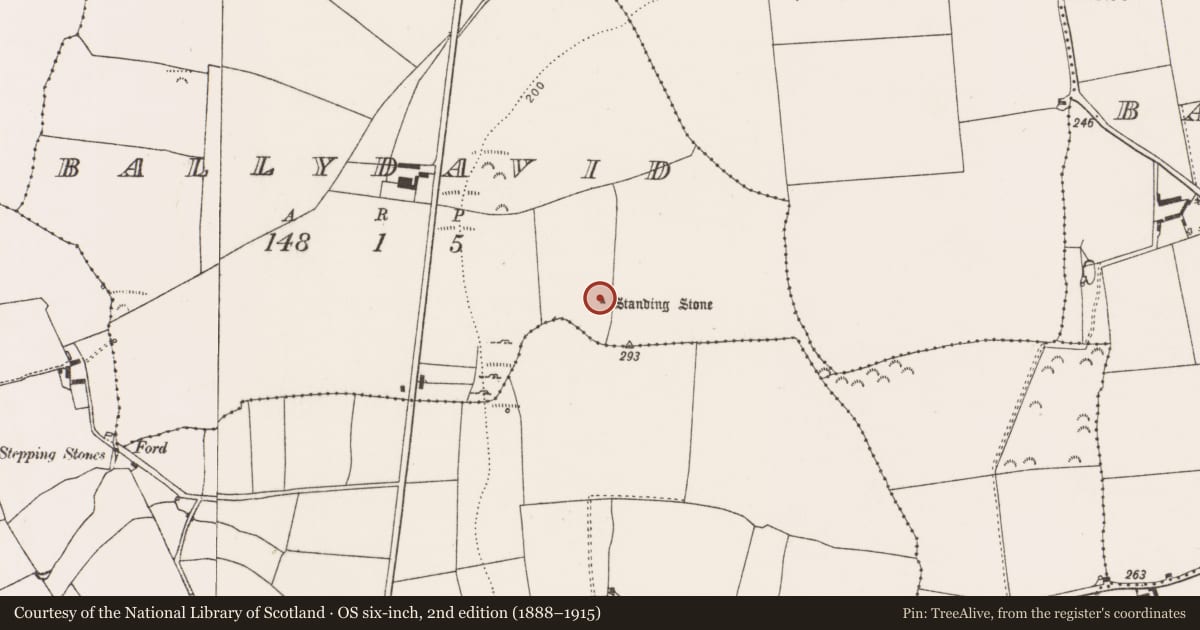 Ordnance Survey six-inch map, 2nd edition (1888–1915) covering the location of Standing stone, Ballydavid, County Cork, with a pin at the register's coordinates