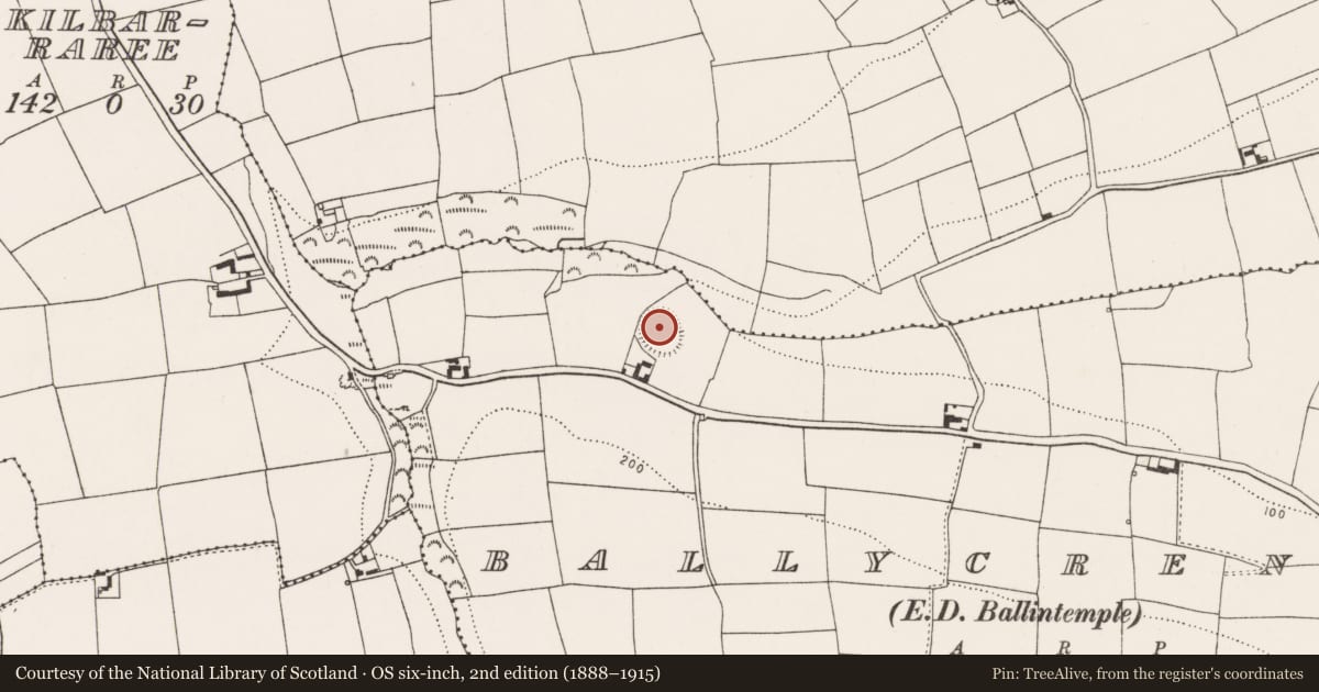 Ordnance Survey six-inch map, 2nd edition (1888–1915) covering the location of Ringfort - rath, Ballycrenane (Imokilly By., Cloyne Par.), County Cork, with a pin at the register's coordinates