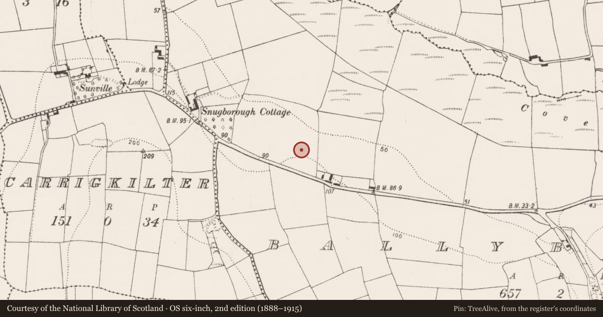 Ordnance Survey six-inch map, 2nd edition (1888–1915) covering the location of Enclosure, Ballybraher (Imokilly By., Cloyne Par.), County Cork, with a pin at the register's coordinates