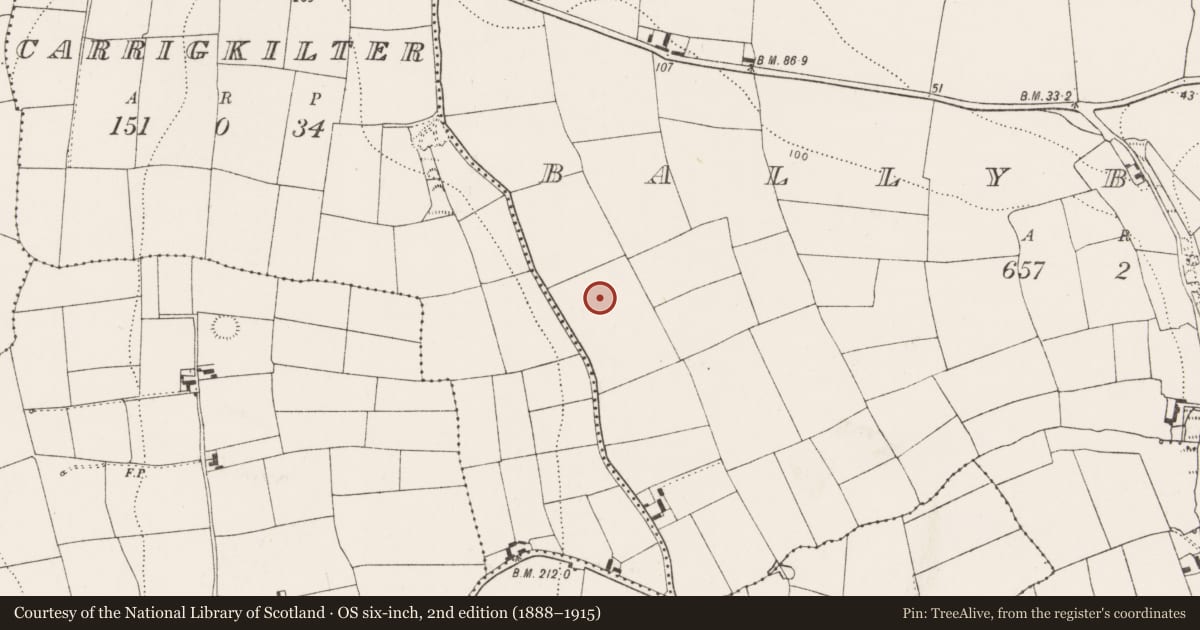 Ordnance Survey six-inch map, 2nd edition (1888–1915) covering the location of Enclosure, Ballybraher (Imokilly By., Ballyoughtera Par.), County Cork, with a pin at the register's coordinates