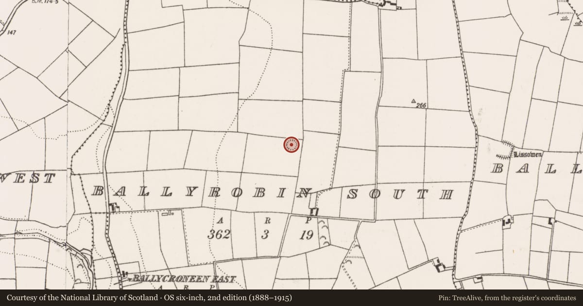 Ordnance Survey six-inch map, 2nd edition (1888–1915) covering the location of Ringfort - rath, Ballyrobin South, County Cork, with a pin at the register's coordinates