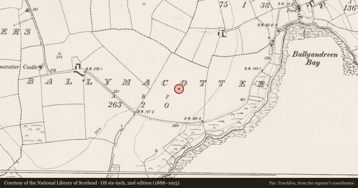Ordnance Survey six-inch map, 2nd edition (1888–1915) covering the location of Ringfort - rath, Ballymacotter, County Cork, with a pin at the register's coordinates