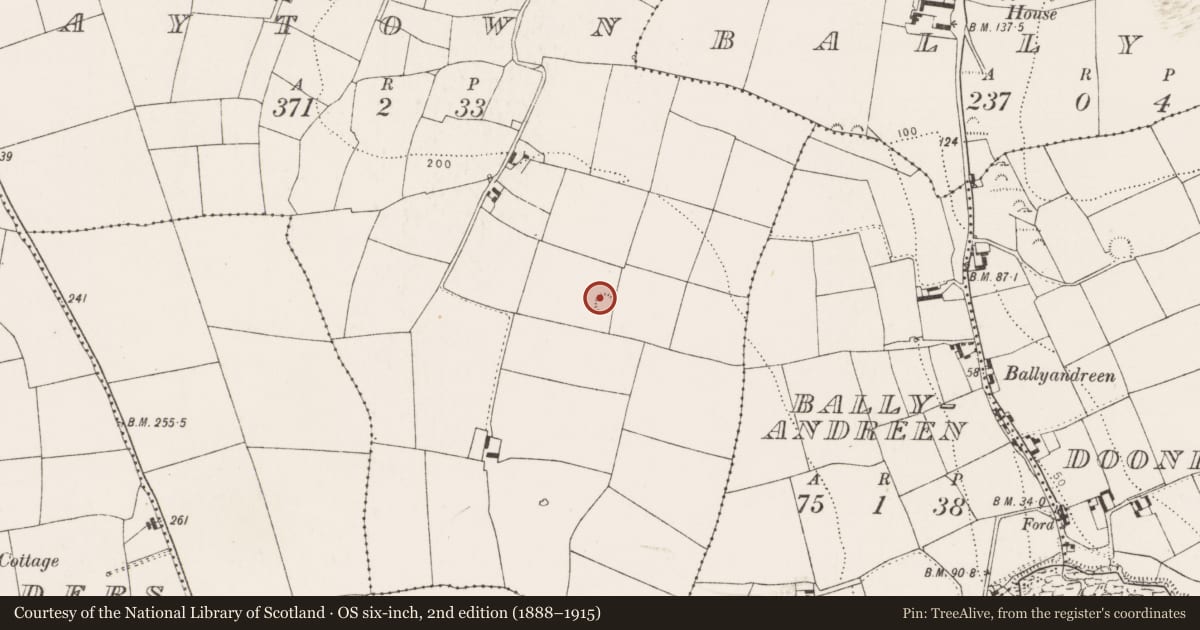Ordnance Survey six-inch map, 2nd edition (1888–1915) covering the location of Ringfort - rath, Maytown, County Cork, with a pin at the register's coordinates