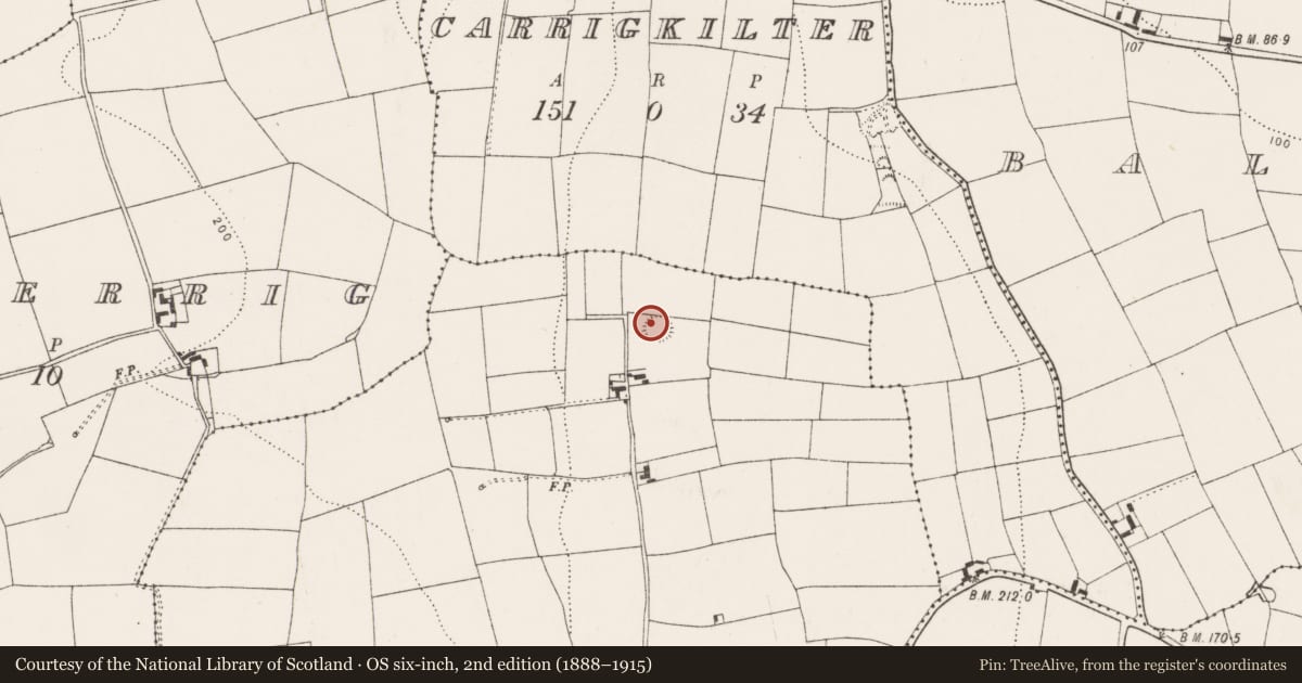 Ordnance Survey six-inch map, 2nd edition (1888–1915) covering the location of Ringfort - rath, Maytown, County Cork, with a pin at the register's coordinates