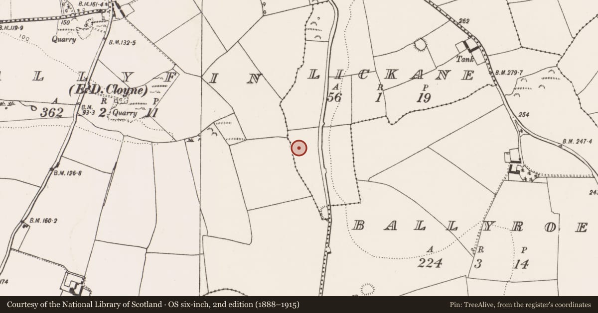 Ordnance Survey six-inch map, 2nd edition (1888–1915) covering the location of Burnt mound, Lickane, County Cork, with a pin at the register's coordinates