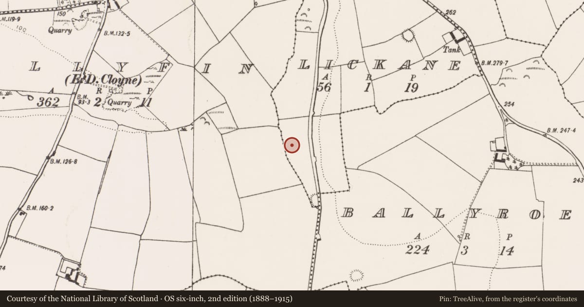 Ordnance Survey six-inch map, 2nd edition (1888–1915) covering the location of Burnt mound, Lickane, County Cork, with a pin at the register's coordinates