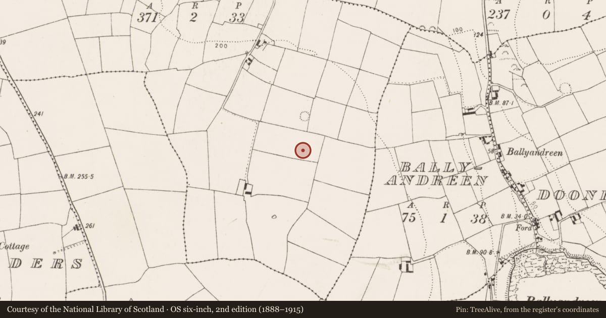 Ordnance Survey six-inch map, 2nd edition (1888–1915) covering the location of Enclosure, Maytown, County Cork, with a pin at the register's coordinates