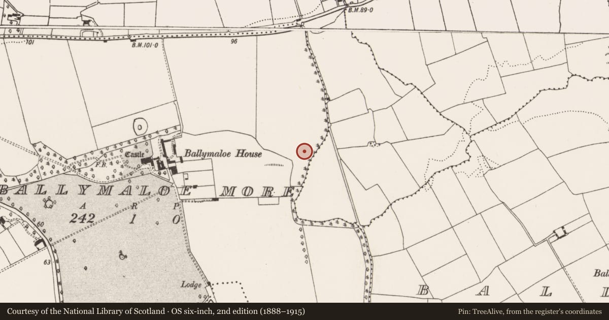 Ordnance Survey six-inch map, 2nd edition (1888–1915) covering the location of Enclosure, Ballymaloe More, County Cork, with a pin at the register's coordinates