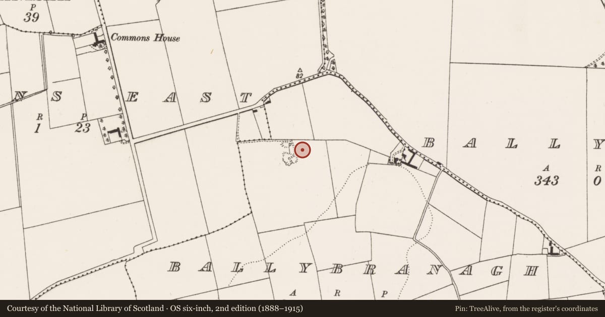 Ordnance Survey six-inch map, 2nd edition (1888–1915) covering the location of Enclosure, Ballybranagh, County Cork, with a pin at the register's coordinates