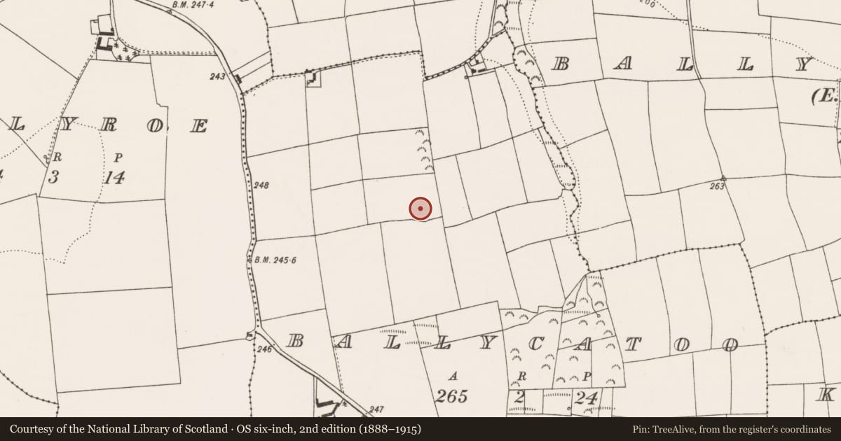 Ordnance Survey six-inch map, 2nd edition (1888–1915) covering the location of Enclosure, Ballycatoo, County Cork, with a pin at the register's coordinates