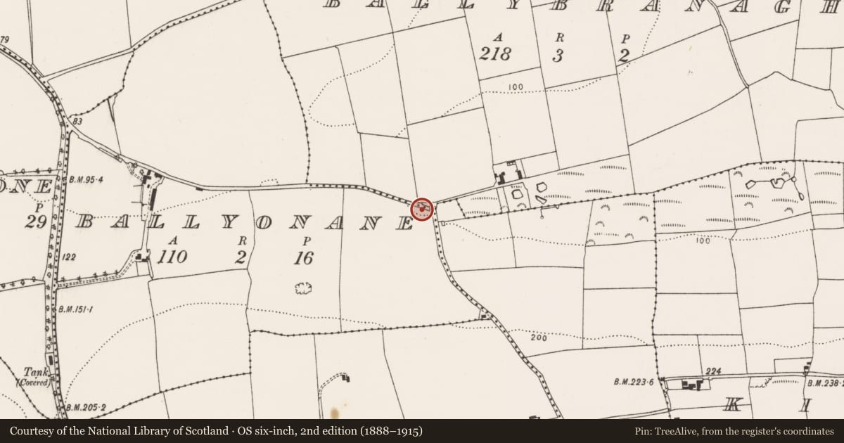 Ordnance Survey six-inch map, 2nd edition (1888–1915) covering the location of Fulacht fia, Ballyonane, County Cork, with a pin at the register's coordinates
