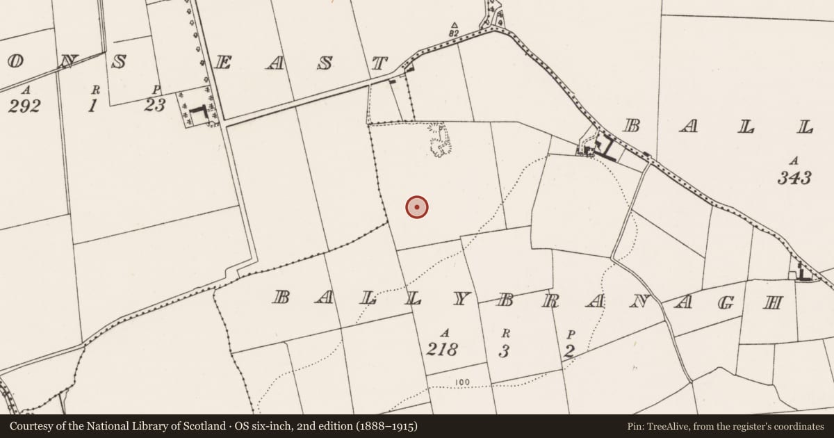 Ordnance Survey six-inch map, 2nd edition (1888–1915) covering the location of Burnt mound, Ballybranagh, County Cork, with a pin at the register's coordinates
