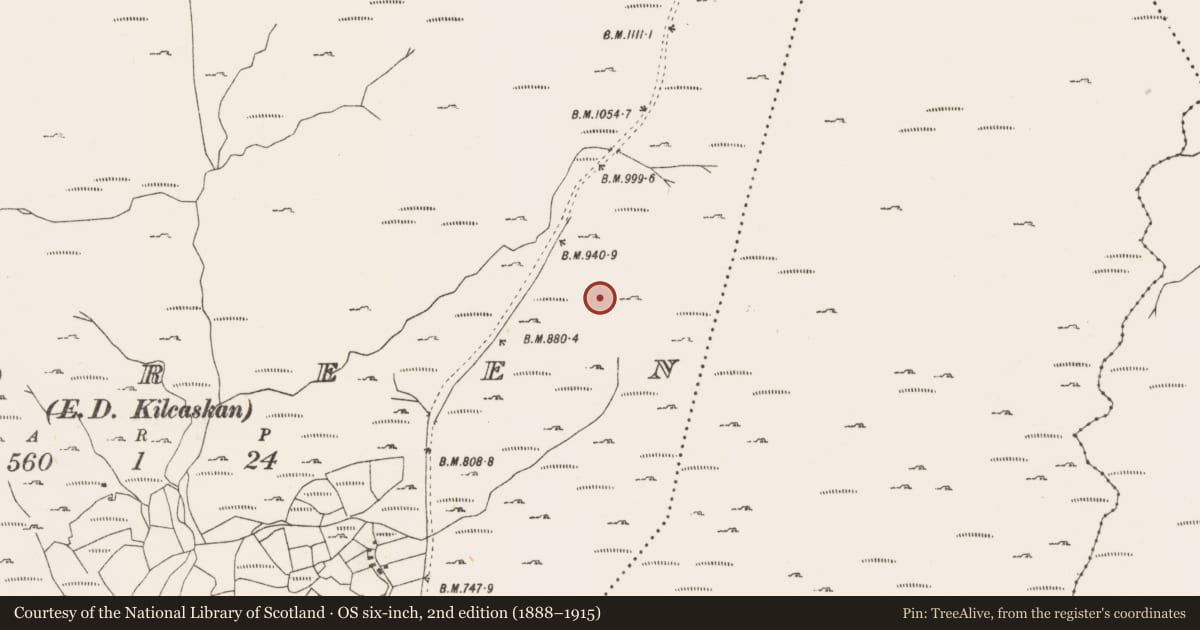 Ordnance Survey six-inch map, 2nd edition (1888–1915) covering the location of Megalithic tomb - wedge tomb, Tooreen, County Cork, with a pin at the register's coordinates