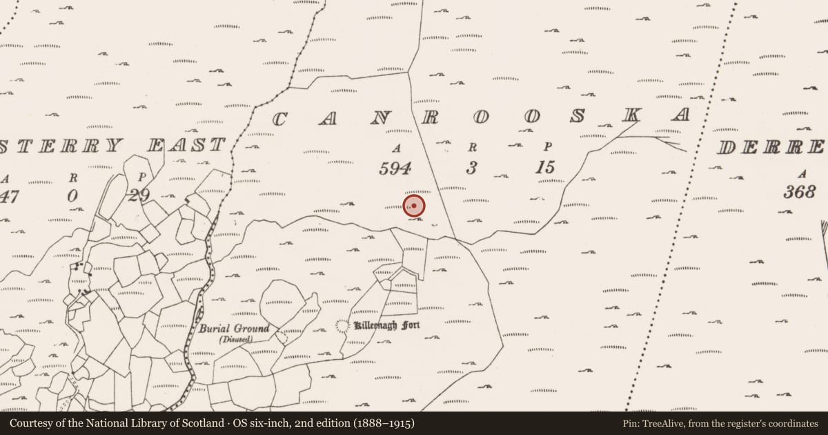 Ordnance Survey six-inch map, 2nd edition (1888–1915) covering the location of Hut site, Canrooska, County Cork, with a pin at the register's coordinates