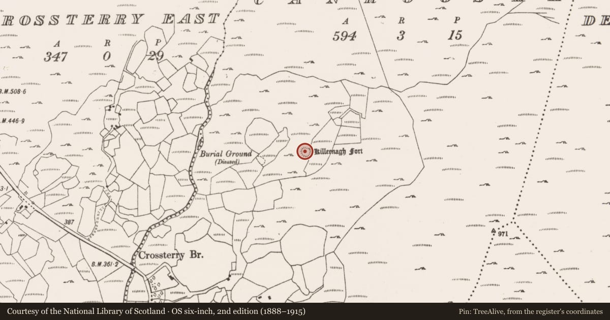 Ordnance Survey six-inch map, 2nd edition (1888–1915) covering the location of Ringfort - cashel, Canrooska, County Cork, with a pin at the register's coordinates