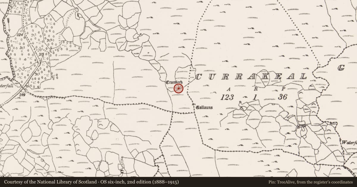 Ordnance Survey six-inch map, 2nd edition (1888–1915) covering the location of Stone row, Canrooska, County Cork, with a pin at the register's coordinates