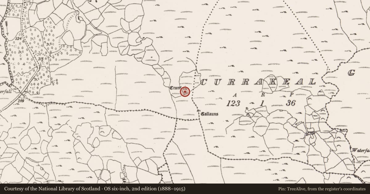 Ordnance Survey six-inch map, 2nd edition (1888–1915) covering the location of Stone circle - five-stone, Canrooska, County Cork, with a pin at the register's coordinates
