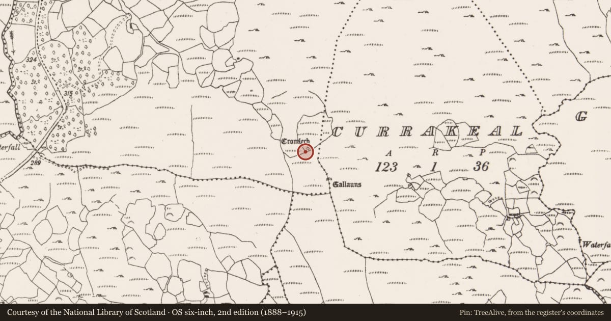 Ordnance Survey six-inch map, 2nd edition (1888–1915) covering the location of Cairn - unclassified, Canrooska, County Cork, with a pin at the register's coordinates