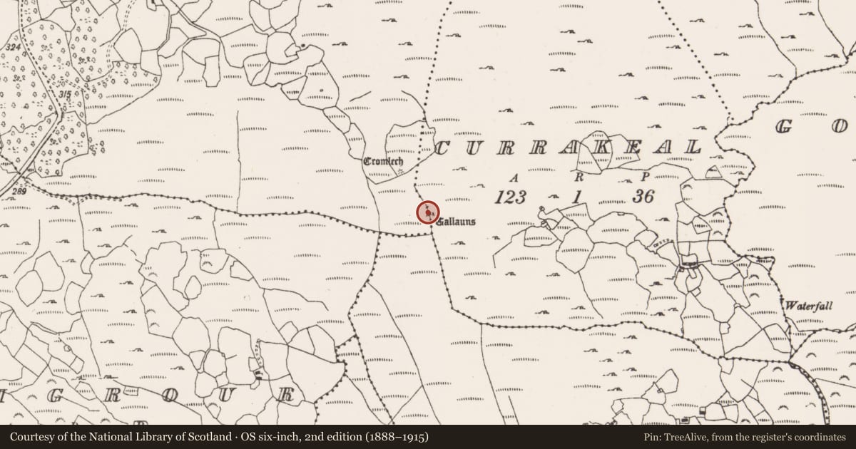 Ordnance Survey six-inch map, 2nd edition (1888–1915) covering the location of Stone row, Canrooska, Currakeal, County Cork, with a pin at the register's coordinates