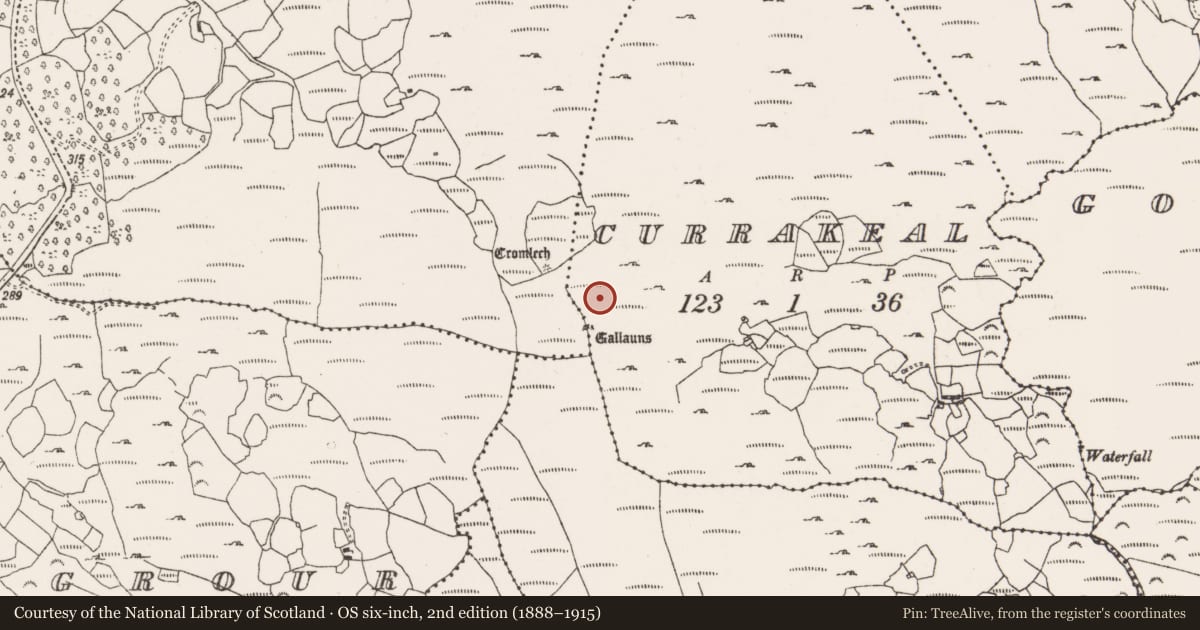 Ordnance Survey six-inch map, 2nd edition (1888–1915) covering the location of Boulder-burial, Currakeal, County Cork, with a pin at the register's coordinates
