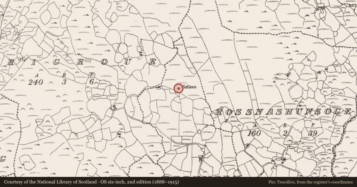 Ordnance Survey six-inch map, 2nd edition (1888–1915) covering the location of Standing stone, Reenmeen West, County Cork, with a pin at the register's coordinates