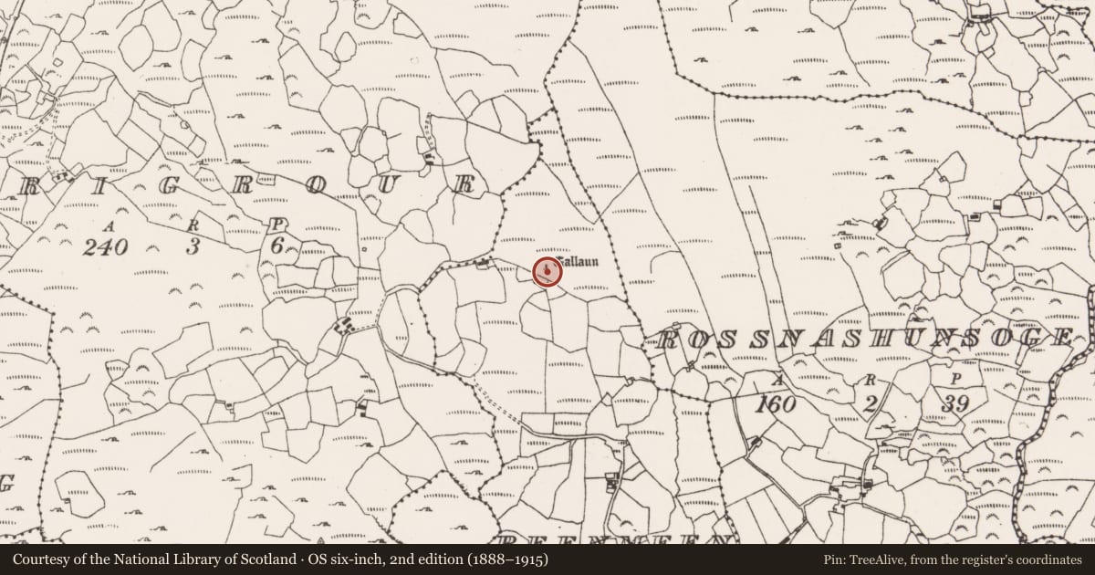 Ordnance Survey six-inch map, 2nd edition (1888–1915) covering the location of Cairn - radial-stone cairn, Reenmeen West, County Cork, with a pin at the register's coordinates