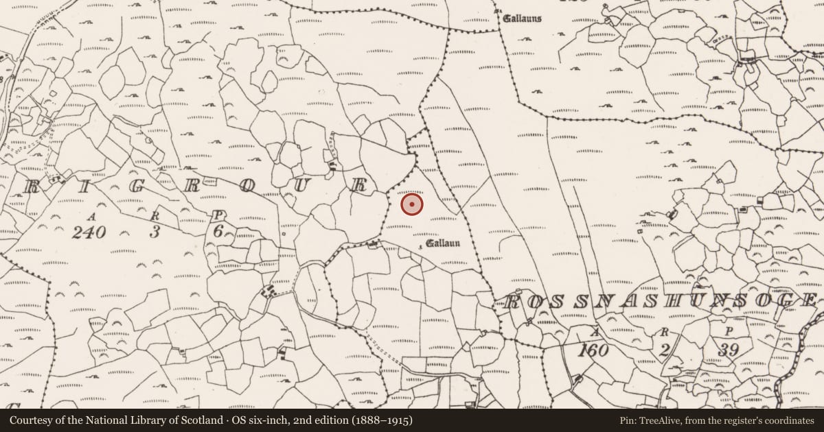 Ordnance Survey six-inch map, 2nd edition (1888–1915) covering the location of Field boundary, Reenmeen West, County Cork, with a pin at the register's coordinates