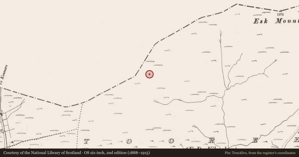 Ordnance Survey six-inch map, 2nd edition (1888–1915) covering the location of Mine - copper, Tooreen, County Cork, with a pin at the register's coordinates