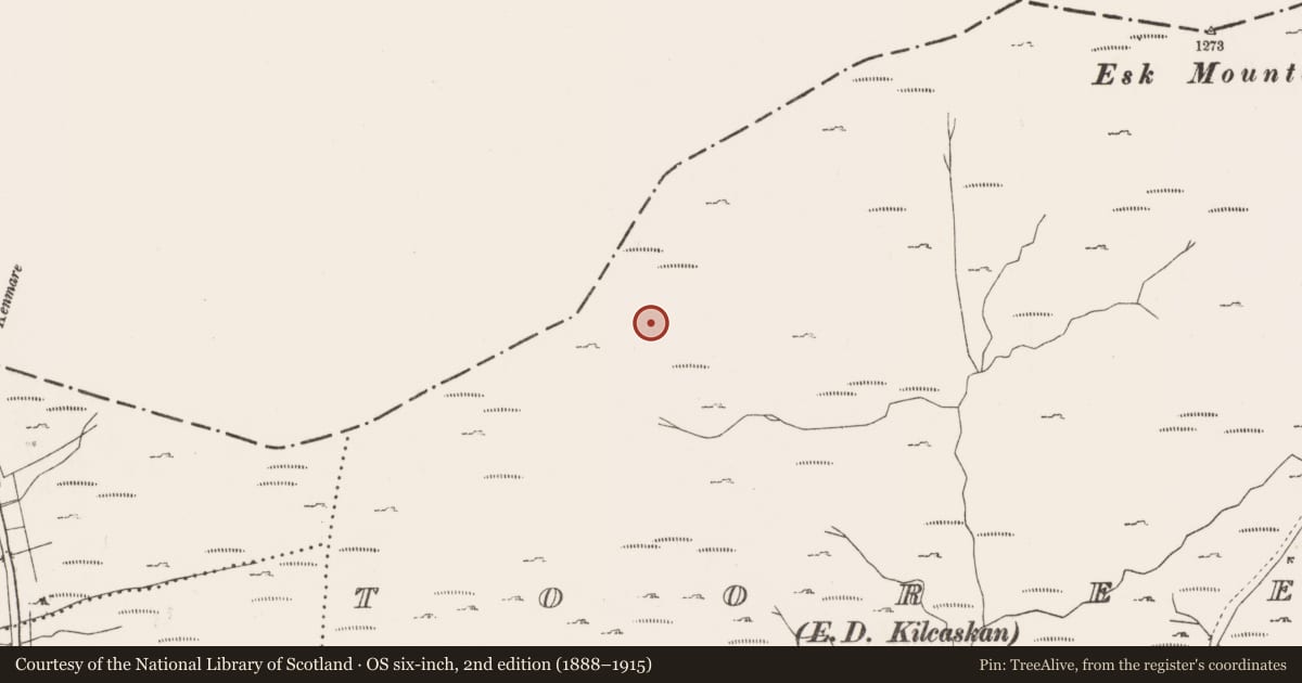 Ordnance Survey six-inch map, 2nd edition (1888–1915) covering the location of Hut site, Tooreen, County Cork, with a pin at the register's coordinates