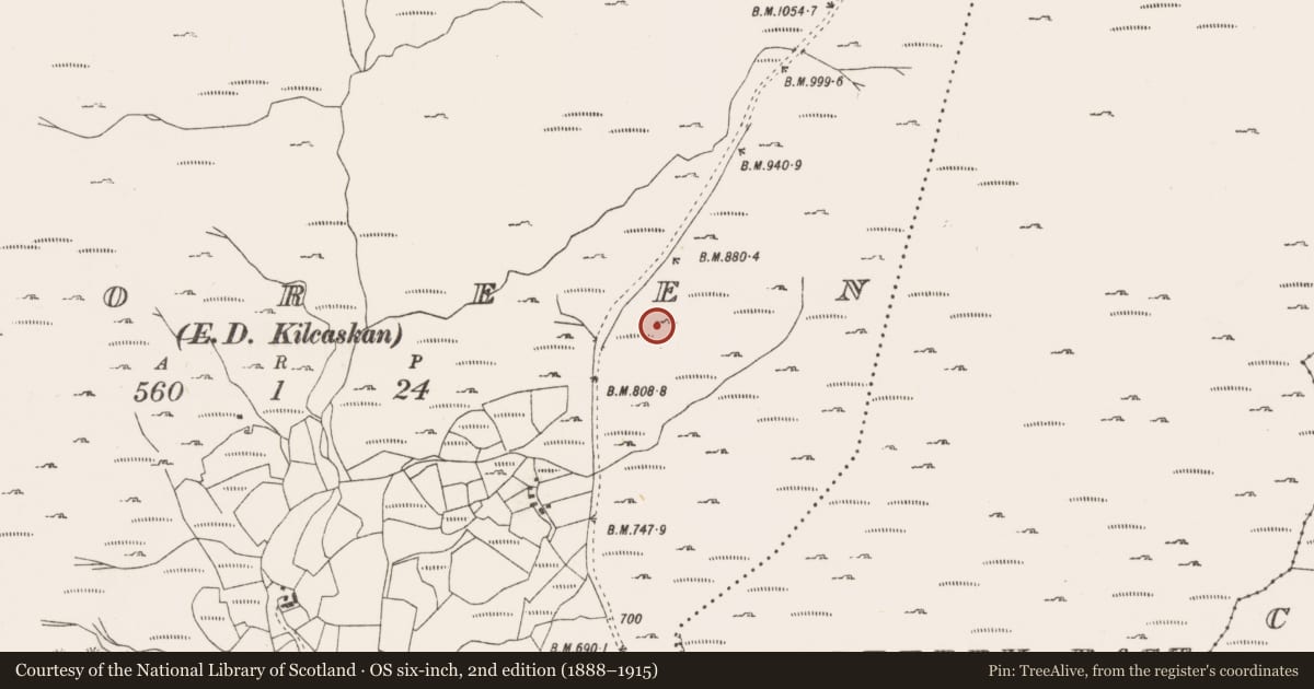 Ordnance Survey six-inch map, 2nd edition (1888–1915) covering the location of Enclosure, Tooreen, County Cork, with a pin at the register's coordinates