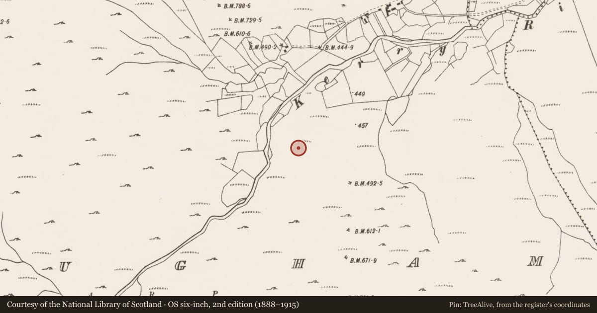Ordnance Survey six-inch map, 2nd edition (1888–1915) covering the location of Field boundary, Rougham, County Cork, with a pin at the register's coordinates