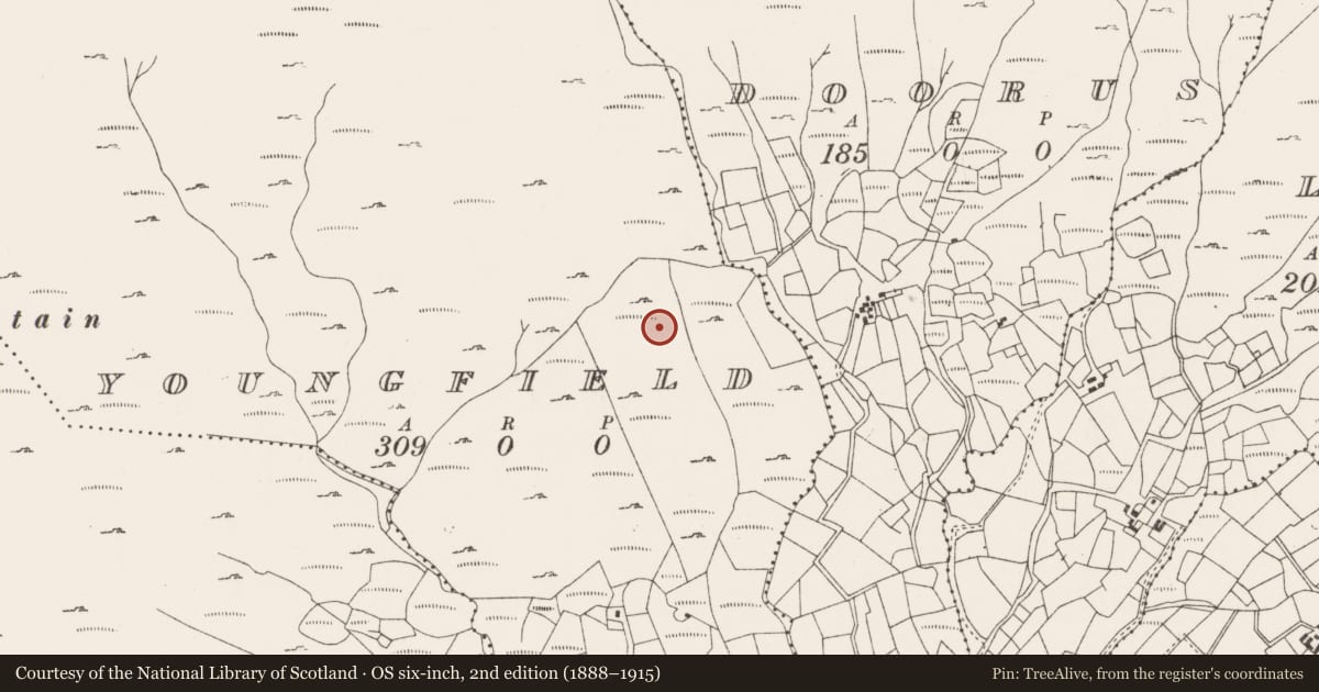 Ordnance Survey six-inch map, 2nd edition (1888–1915) covering the location of Megalithic tomb - wedge tomb, Youngfield, County Cork, with a pin at the register's coordinates