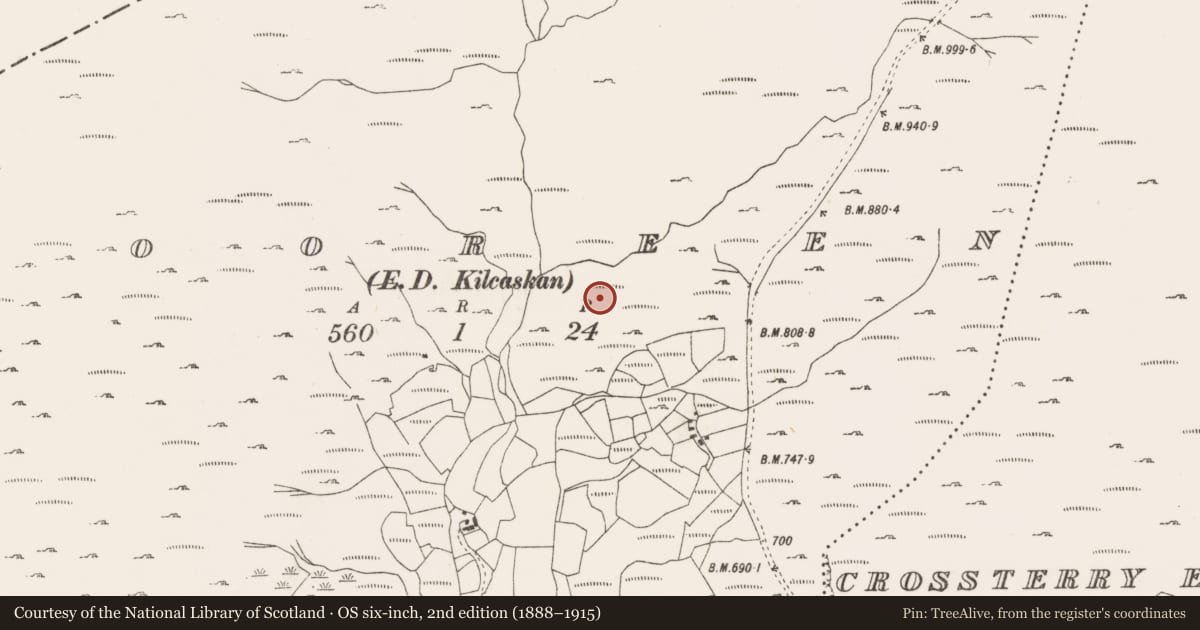 Ordnance Survey six-inch map, 2nd edition (1888–1915) covering the location of Cairn - unclassified, Tooreen, County Cork, with a pin at the register's coordinates