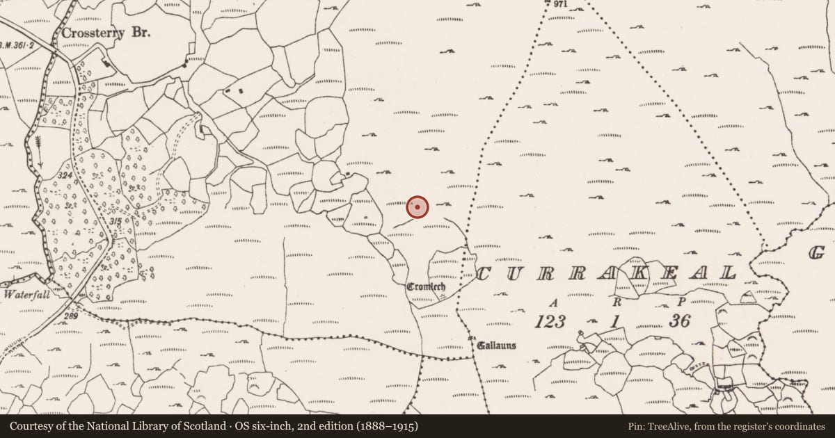 Ordnance Survey six-inch map, 2nd edition (1888–1915) covering the location of Standing stone, Canrooska, County Cork, with a pin at the register's coordinates