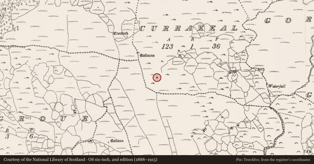 Ordnance Survey six-inch map, 2nd edition (1888–1915) covering the location of Field boundary, Currakeal, County Cork, with a pin at the register's coordinates