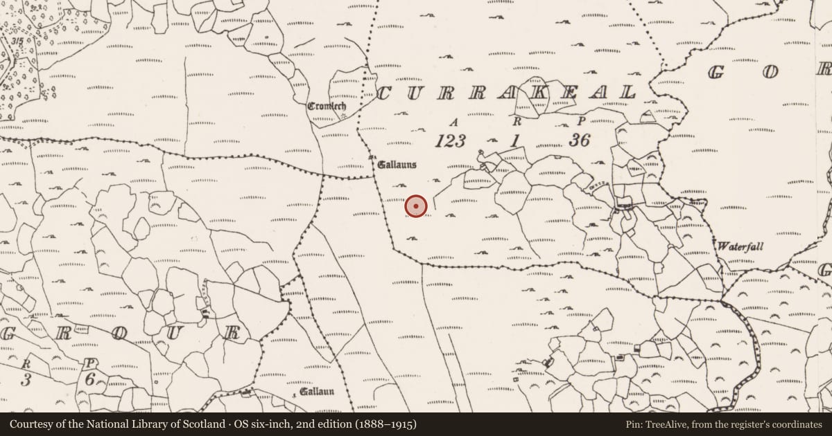 Ordnance Survey six-inch map, 2nd edition (1888–1915) covering the location of Hut site, Currakeal, County Cork, with a pin at the register's coordinates