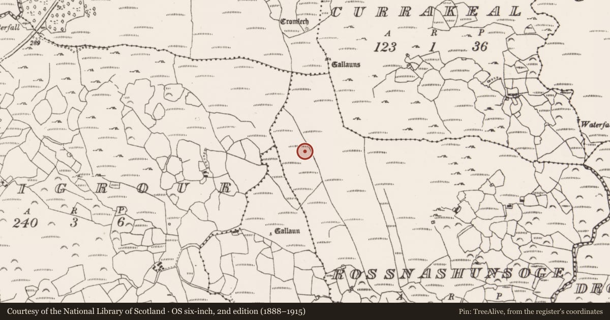 Ordnance Survey six-inch map, 2nd edition (1888–1915) covering the location of Field boundary, Rossnashunsoge, County Cork, with a pin at the register's coordinates
